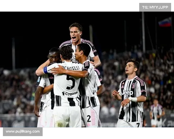 尤文图斯崛起之路：从黑白条纹到意甲霸主的荣耀与挑战