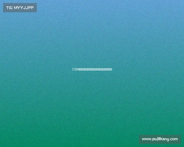 CBA球员生日大盘点：每月生日球员及其精彩瞬间回顾