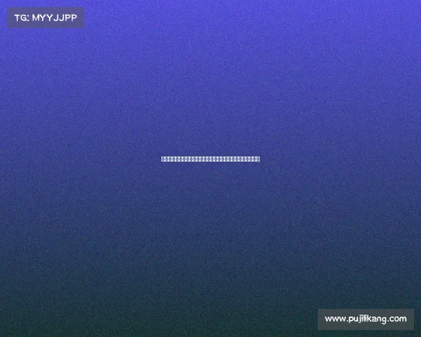 观众人数突破历史新高赛事盛况空前观众热情激增见证精彩时刻